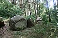 Großsteingrab Der hohe Stein