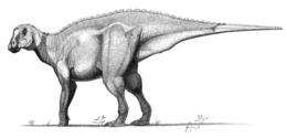 A Gryposaurus rekonstrukciója