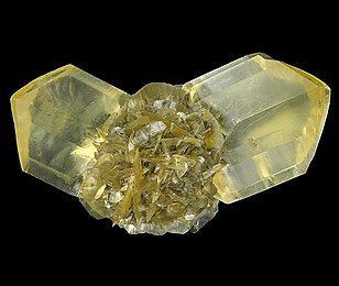 Golden color gem, "fishtail"-twinned crystals of gypsum sitting atop a "ball" of gypsum which is composed of several single bladed crystals