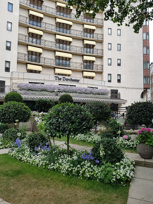 The Dorchester Hotel Review, Mayfair, London | Travel