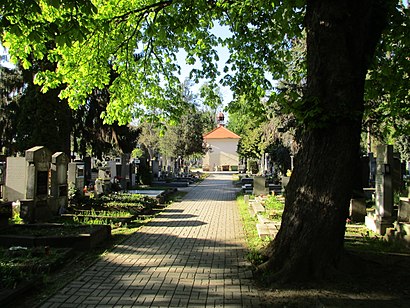 Jak do Krčský hřbitov hromadnou dopravou - O místě
