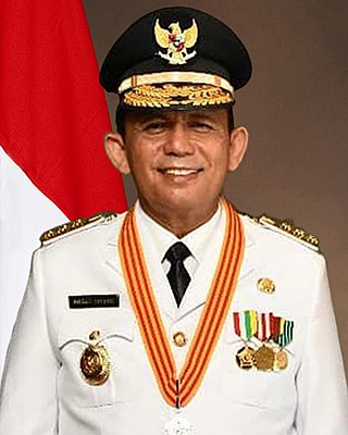 <span class="mw-page-title-main">Ansar Ahmad (Indonesian politician)</span> Indonesian politician (born 1964)