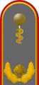 Dienstgradabzeichen eines Generalarztes (Approbation für Humanmedizin) auf der Schulterklappe der Jacke des Dienstanzuges für Heeresuniformträger