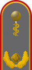 Dienstgradabzeichen auf der Schulterklappe der Jacke des Dienstanzuges für Heeresuniformträger der Sanitätstruppe (Humanmedizin).