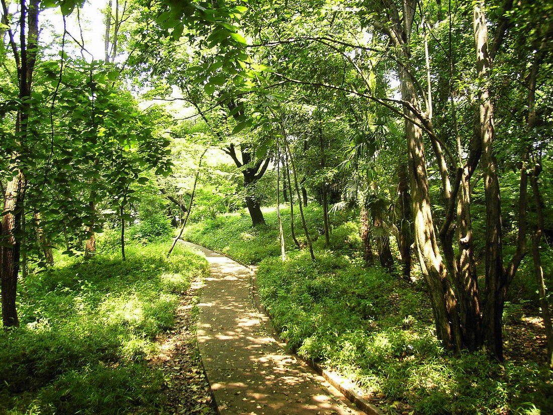 하코네산 (신주쿠구)