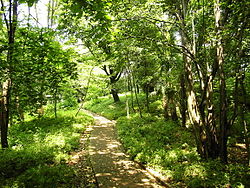 Toyama park