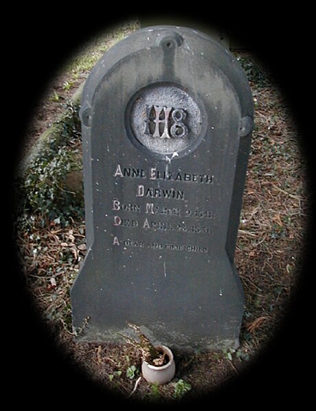 File:Headstone of Anne Elizabeth Darwin.jpg