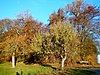 Autumn colors - panoramio.jpg