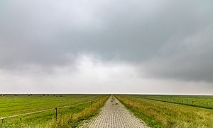 On the Hilgenriedersiel dike.