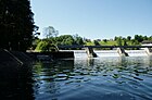 Hochrheinfahrt-Kraftwerk-Rheinau-Unterwasser.JPG