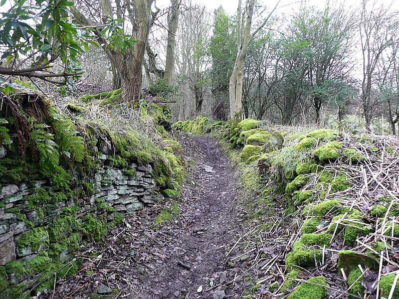 File:Hollas Lane, Norland - geograph.org.uk - 2915186.jpg