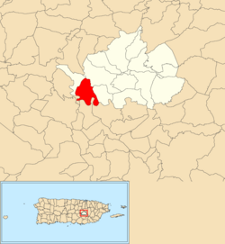 Lokasi Honduras dalam kotamadya Cidra ditampilkan dalam warna merah