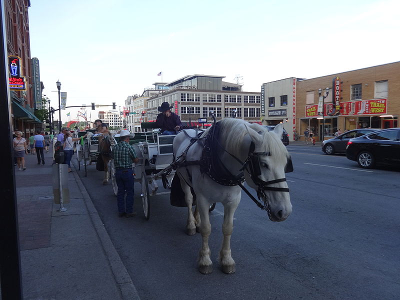 File:Horse & Carriage, Nashville 2.JPG