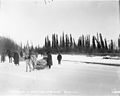 Horse drawn sleds hauling freight for the Trans Alaska Co on Otter River, Alaska, November 13, 1901 (HEGG 107).jpeg