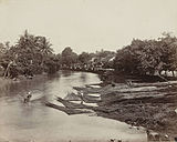 Log transport in the Dutch East Indies (now Indonesia) c. 1870