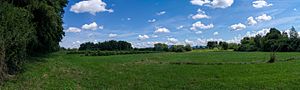 The nature reserve from the south