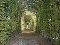 Une des allées d'une longueur de 150 mètres qui délimitent le jardin, dénommées berceaux et composées de charme commun.