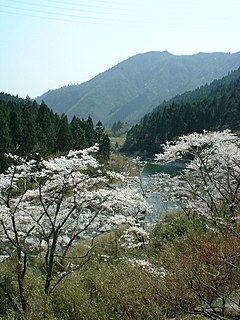 Ichi River