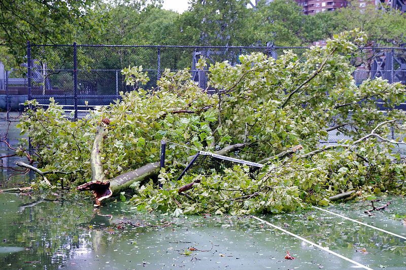File:Irene East River Tennis Court NYC 2011 Shankbone 4.JPG