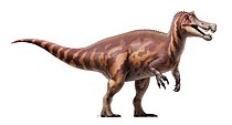 Представник спінозаврів