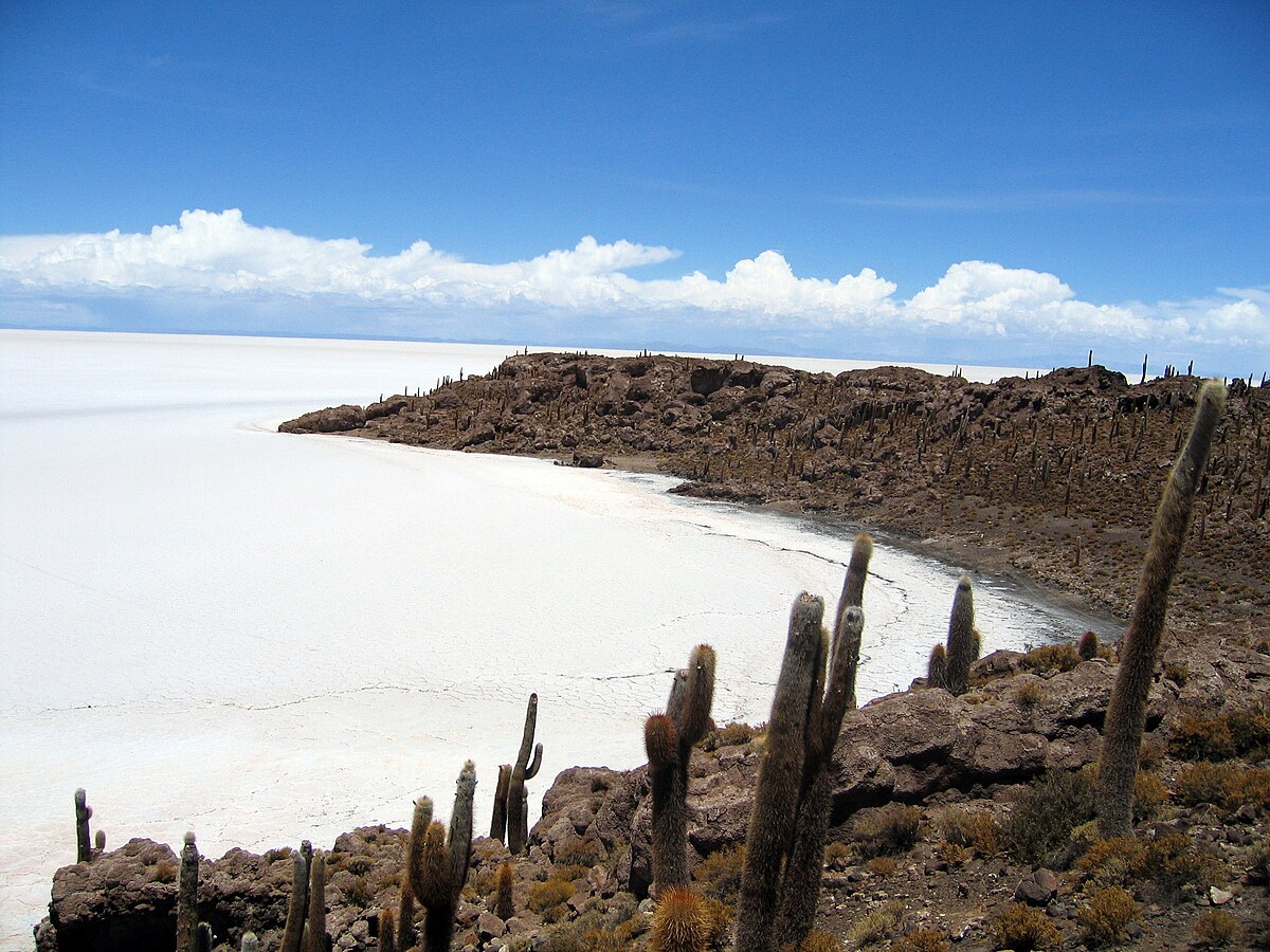 Qué hacer en isla de sal