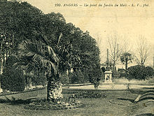 Photographie ancienne montant un jeune palmier du Chili dans un environnement urbain. Au fond, piédestal et statue de parc et cheminées d'usines. Près du palmier, tuyau d'arrosage et tourniquet.