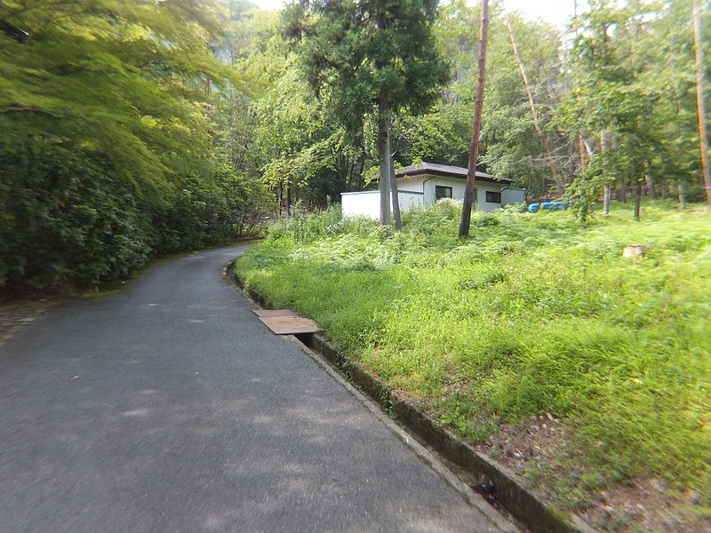 File:Kitaharima - Yokamura park in 2013-7-13 No,8.JPG