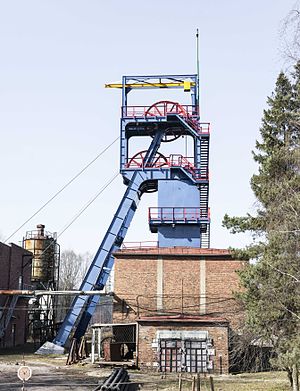 Knurów: Geografie, Geschichte, Partnerstädte