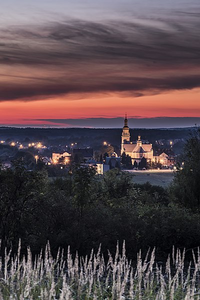 File:Kościół w Chełmie Śląskim.jpg