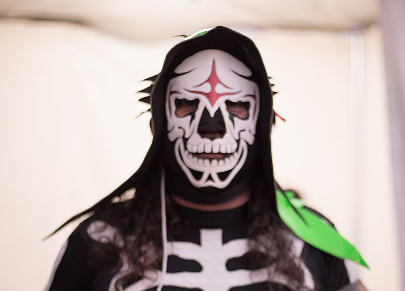 File:La Parka, Campeonato XX del Vive Latino.jpg