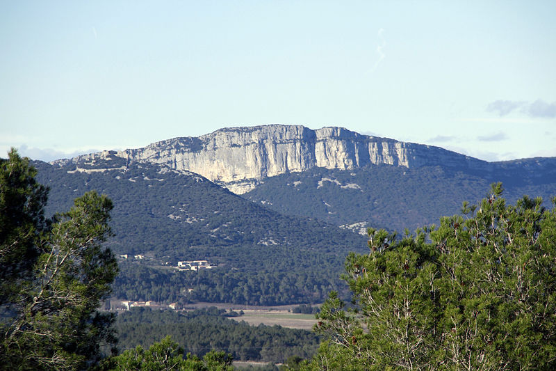 File:La falaise de l'Hortus.JPG