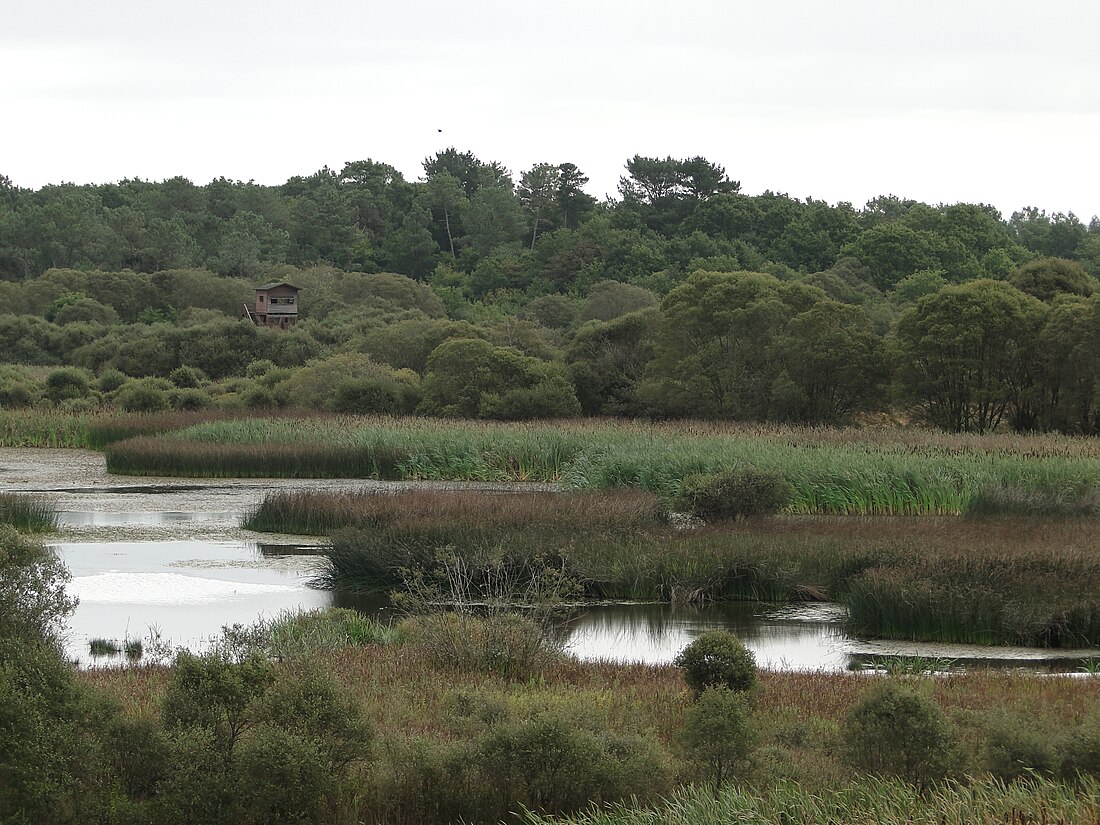 Laguna de Cospeito