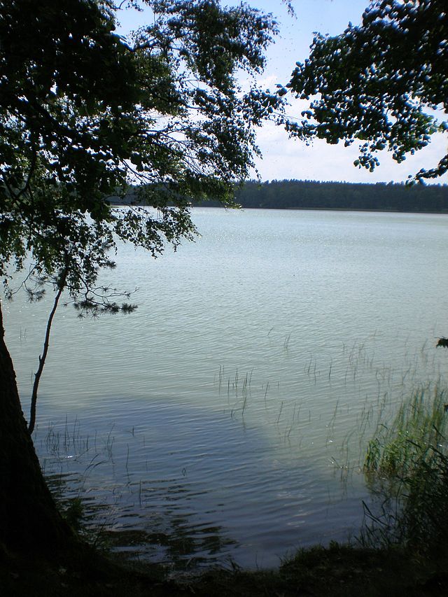 אגם לטסיריס בתחומי מחוז-משנה דרוסקינינקאי