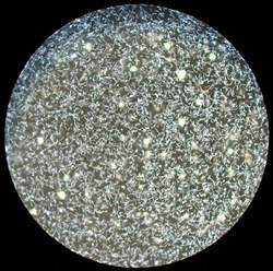 sötétlátóteres mikroszkóppal 200-szorosra nagyított leptospira