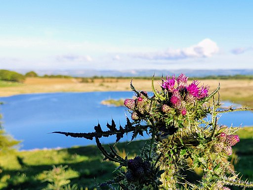 Llyn Eiddwen. Trefenter (JE03)