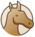 image illustrant les chevaux