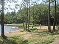 Plage sur la rive du lac Luukinjärvi.