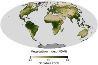 <span class="mw-page-title-main">Vegetation</span> Assemblage of plant species