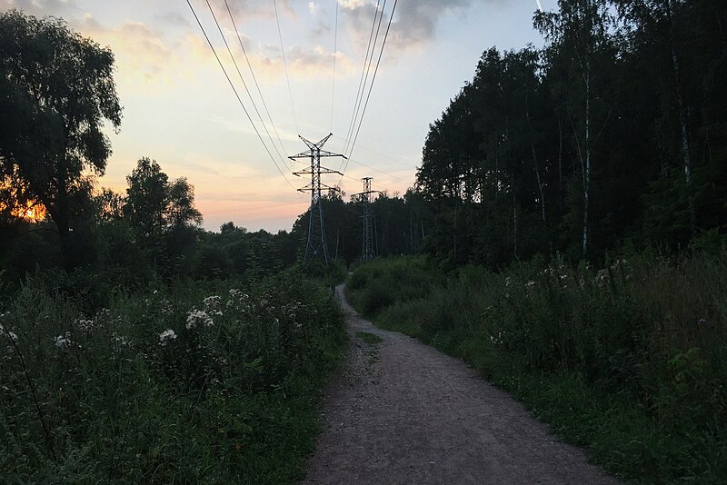 File:Moscow, power line and road through Losiny Ostrov forest (31559146435).jpg