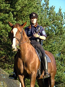Devenir gendarme à cheval en France