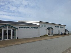 Nørre Vorupør - Nordsø Akvariet.JPG