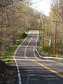 File:NY 144 near Albany County line.jpg