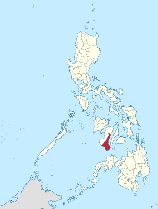 <span class="mw-page-title-main">Negros Oriental's 3rd congressional district</span>