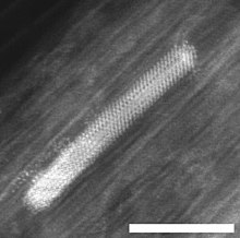 Electron micrograph of a Ni nanocrystal inside a single wall carbon nanotube; scale bar 5 nm Ni@CNT2.jpg