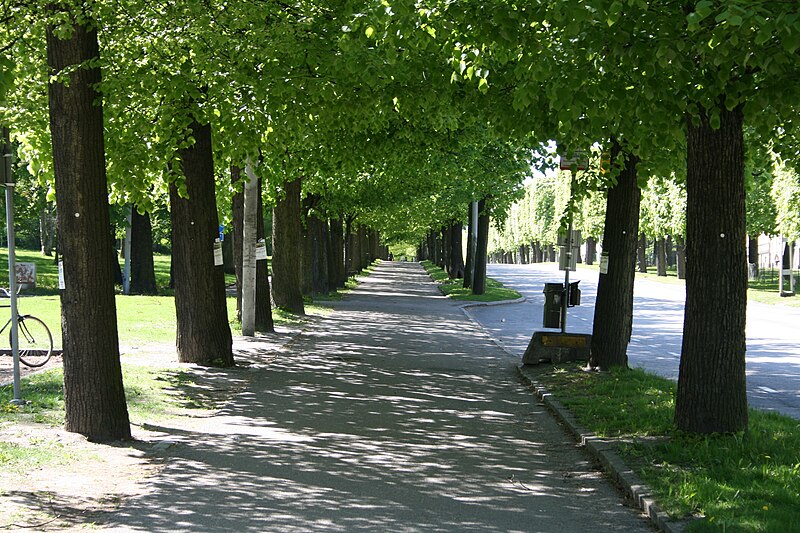 File:Norra promenaden Norrköping 2008-05-10 bild04.jpg