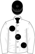 Racing silks of Elite Racing Club Owner Elite Racing Club.svg