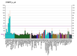 PBB GE ABCC10 215873 x در fs.png