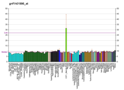 PBB GE OR5H2 gnf1h01996 at fs.png