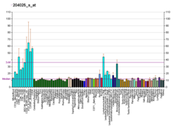 PBB GE PDCD2 204025 s at fs.png