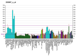 PBB GE SF3B3 200687 s bei fs.png